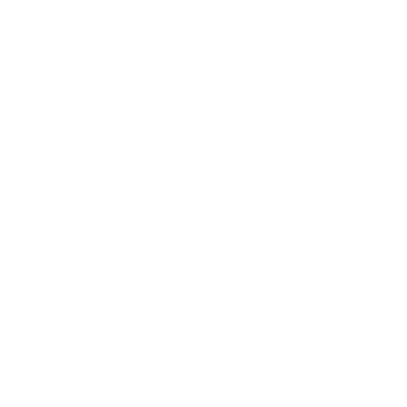Zephyr Digital Photography Submark