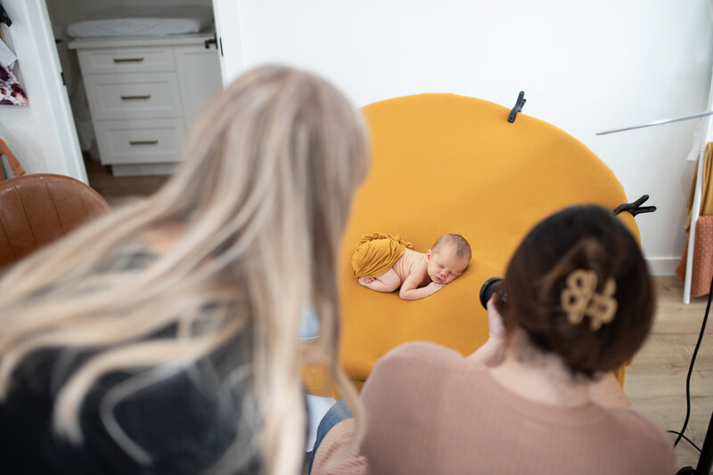 posed newborn on green background