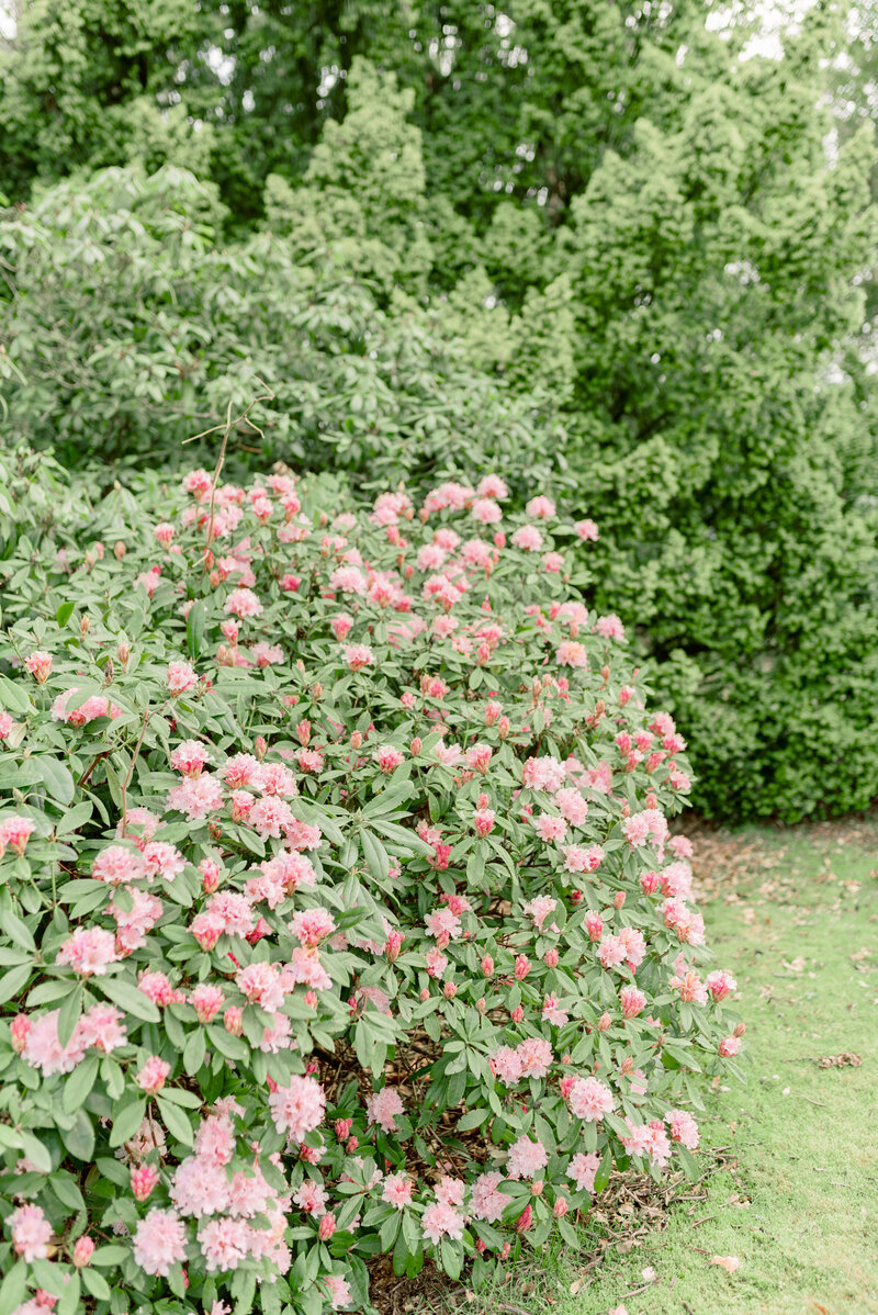 Roseberry-House-Wedding-JCP_5605