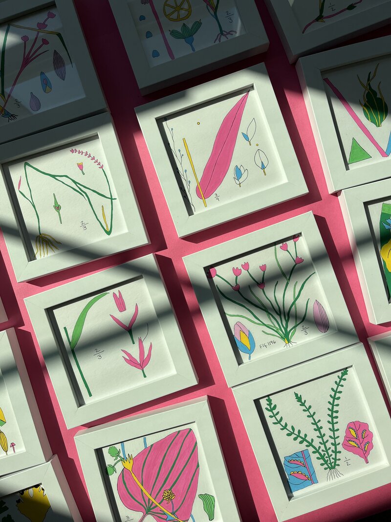 hand-illustrated botanical artworks
