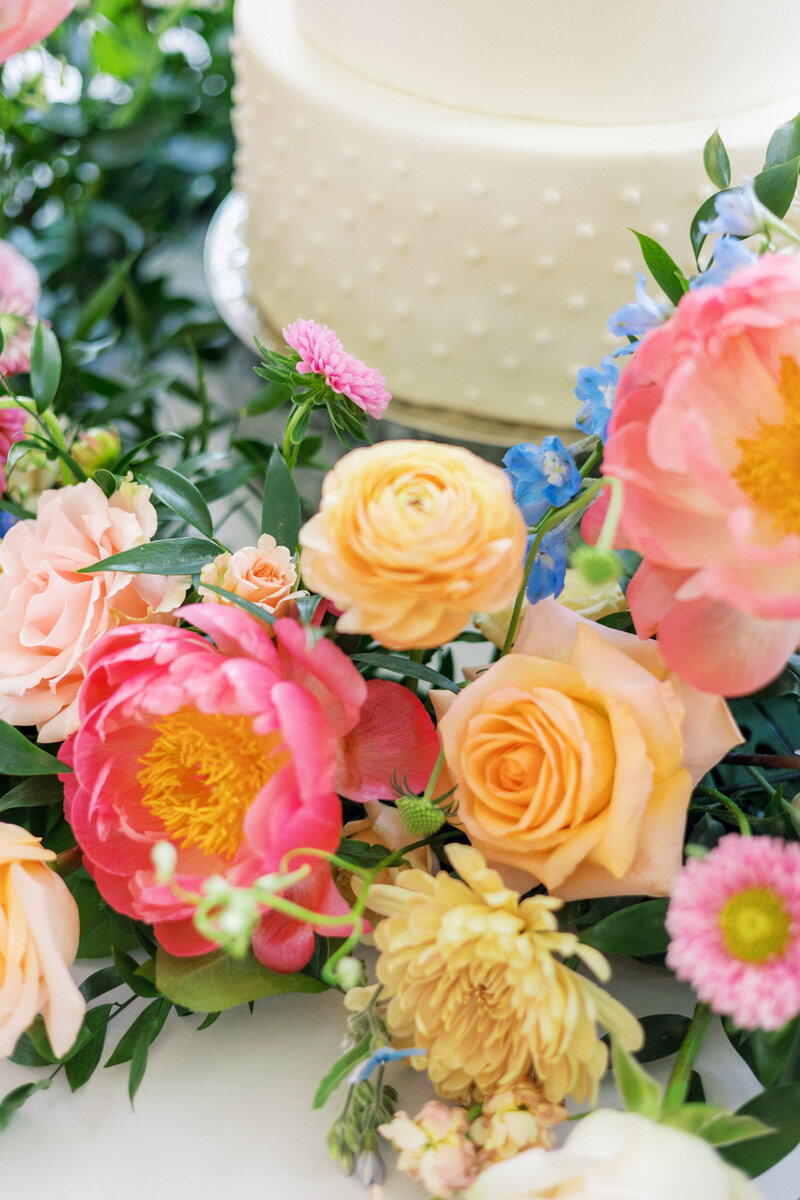 Shannon-bryn-photo-611