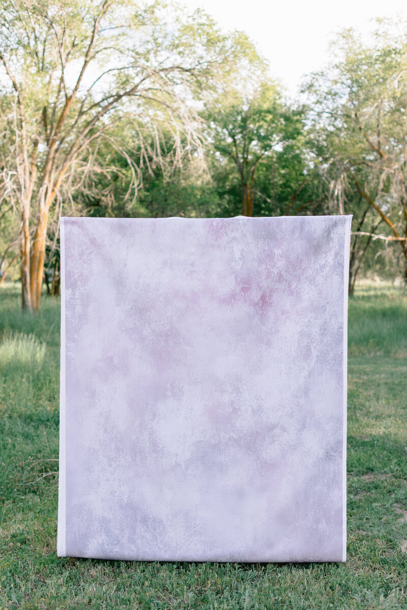 Backdrop-9
