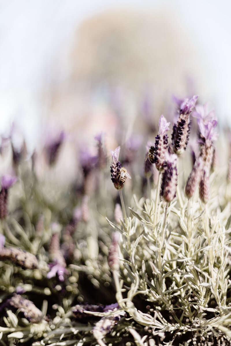 Indigo Power -Park Lane Nursery - JessicaCarrollPhotographer-1