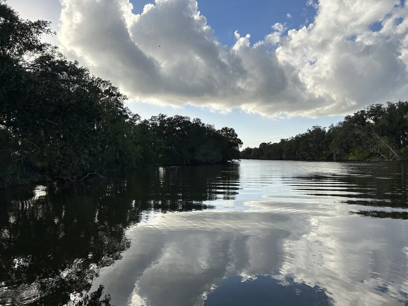 lake in New Orleans, image taken by Caroline Amelie