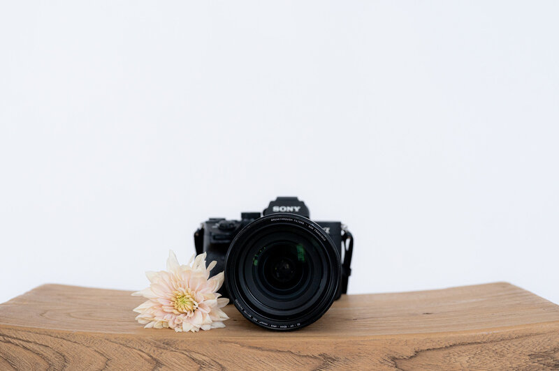 Close-up of a Sony camera and flower symbolizing creativity and storytelling within the photography community.
