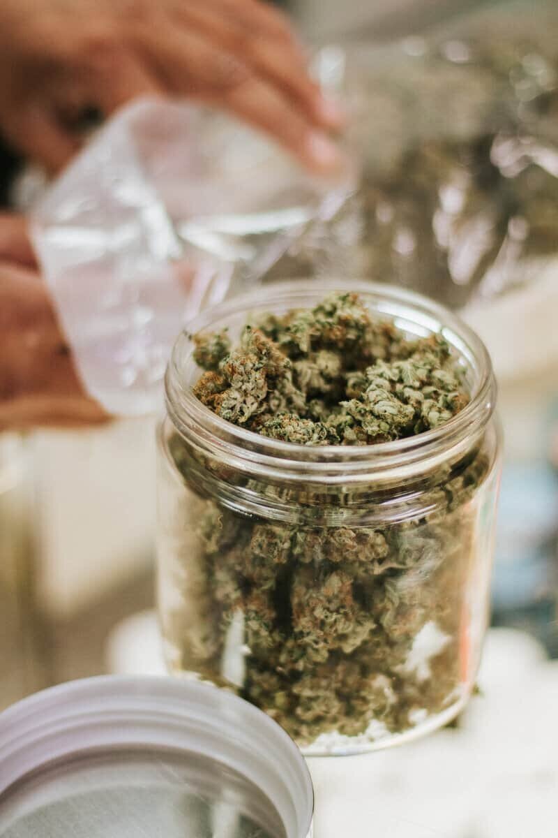 Cannabis Buds in Jar