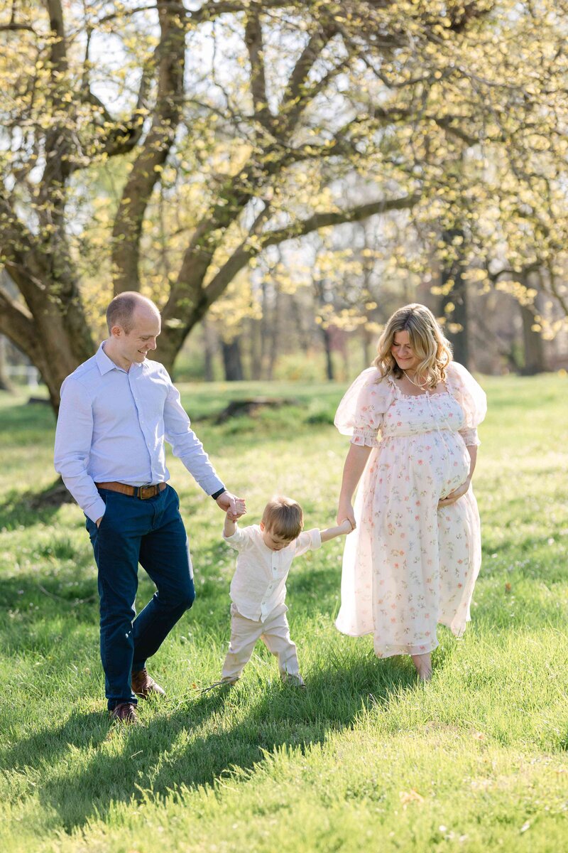 Pregnant mom and dad holding their son's hand in a green field with lots of light and a pretty yellow flowering tree in the background