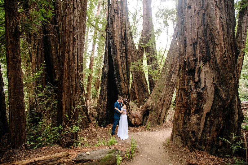 A couple elopes in northern California