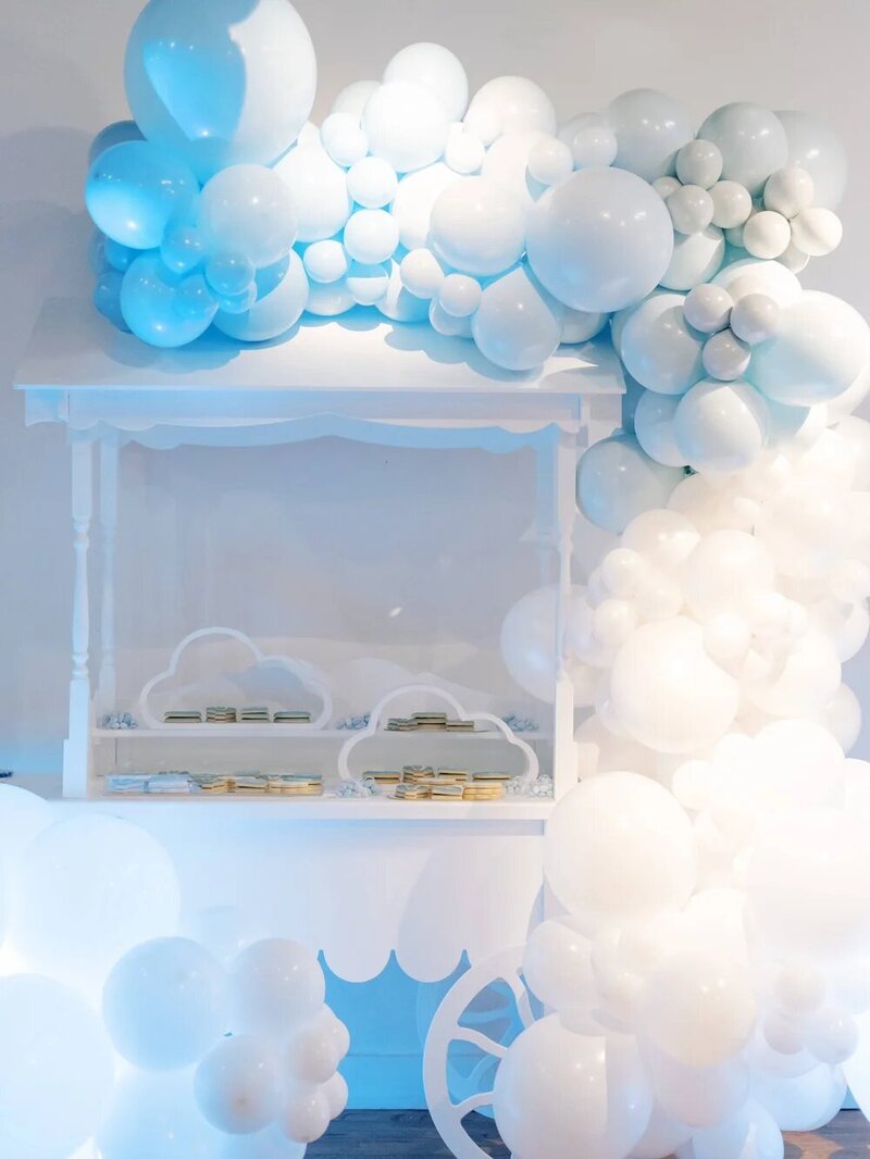 Hot Air Balloon Birthday Party Atlanta by Hannah Forsberg37