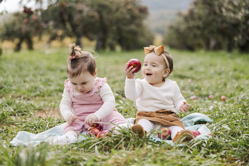 Two toddlers sharing apples on a picnic blanket during a Hudson Valley family photography session