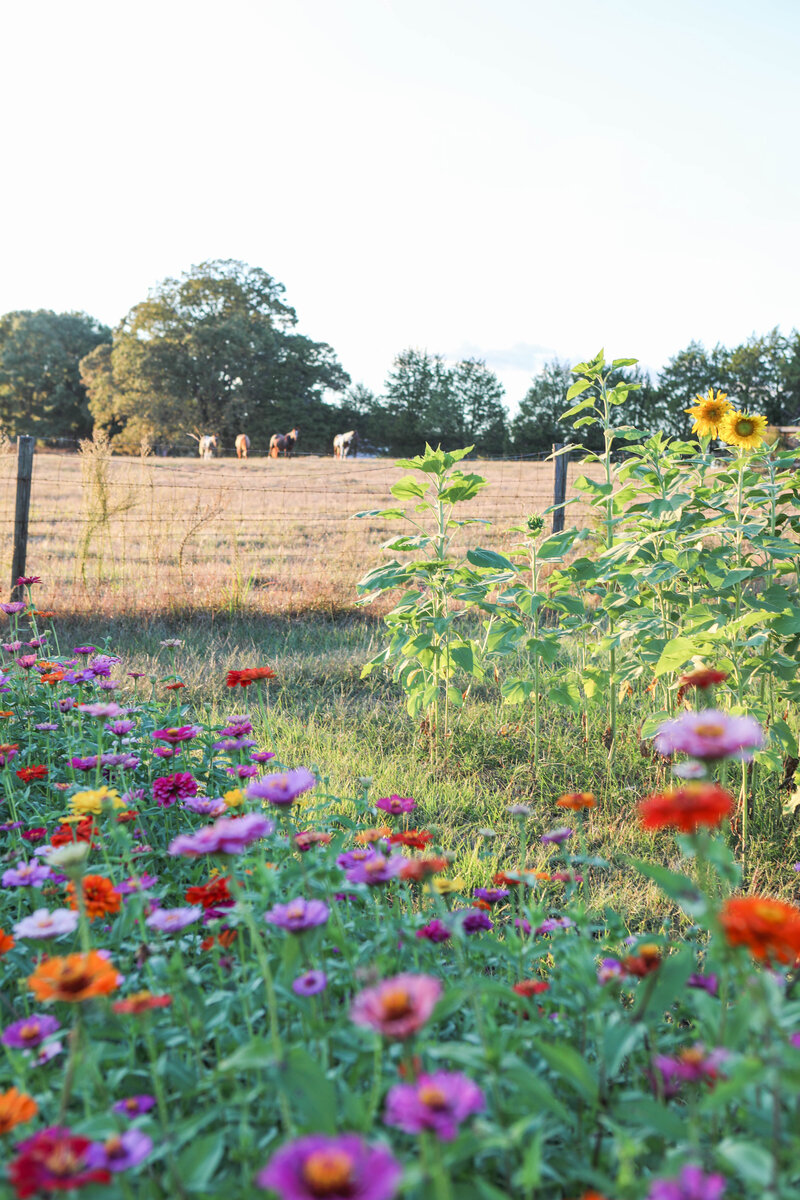 flower farm brooks peachtree city cedar hill