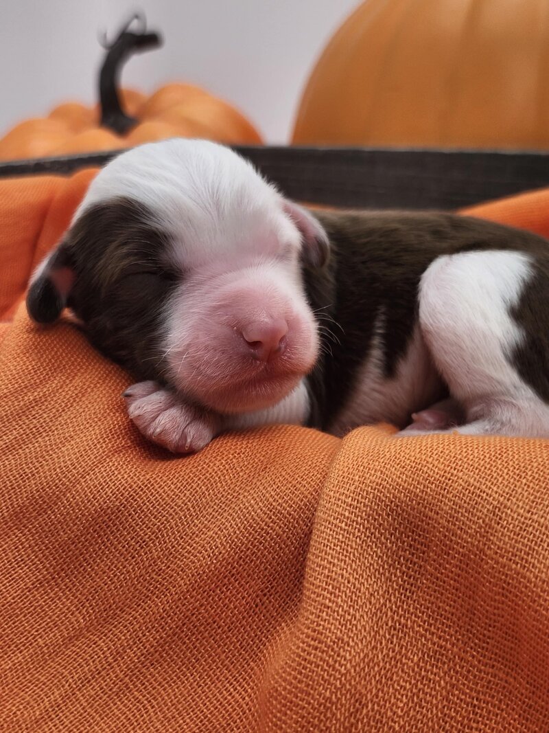 ade302b1-d493-4bd1-a71c-3d6920ad3a83