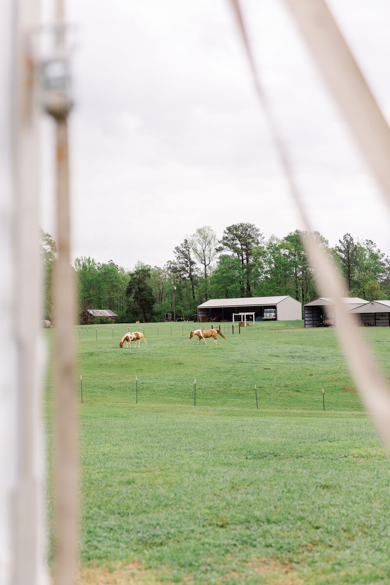 paffordwedding_preceremony155