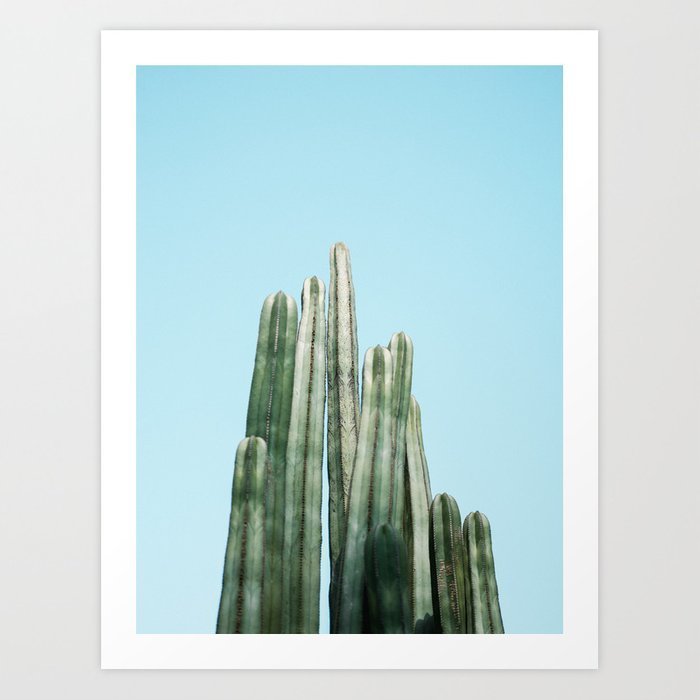 tall-cacti-cactus-photo-print-colourful-travel-wanderlust-photography-art-prints