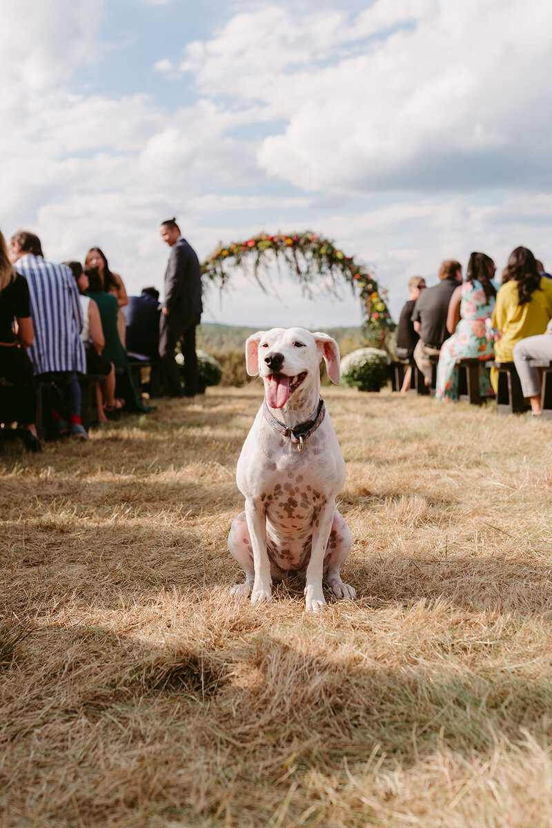 Hanna+Keagan_Wedding_DanicaOlivaPhotos_279_websize