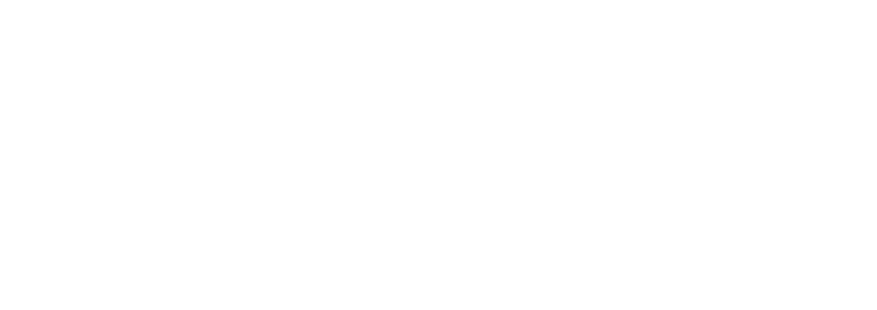 swans-08