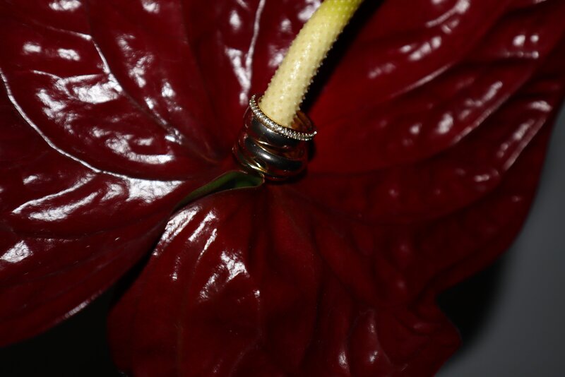 Image of artistic floral photography from Travel photographer at ADP Studio