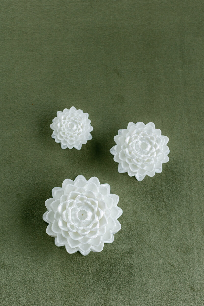 Eternal dahlia flowers