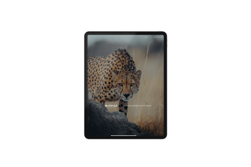 02 AGORA Device Mockup55555