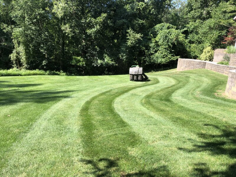 Professional lawn mower creating precise, striped patterns on a lush green lawn