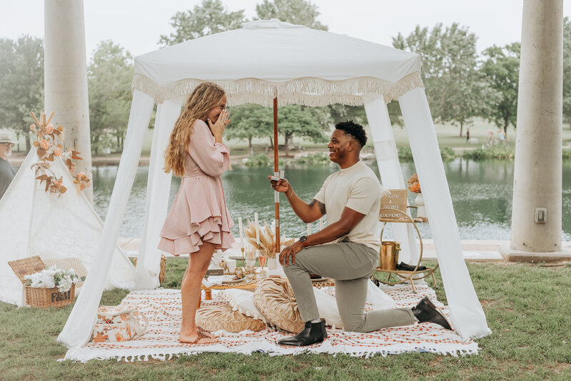 Picnic Proposal in Austin Texas