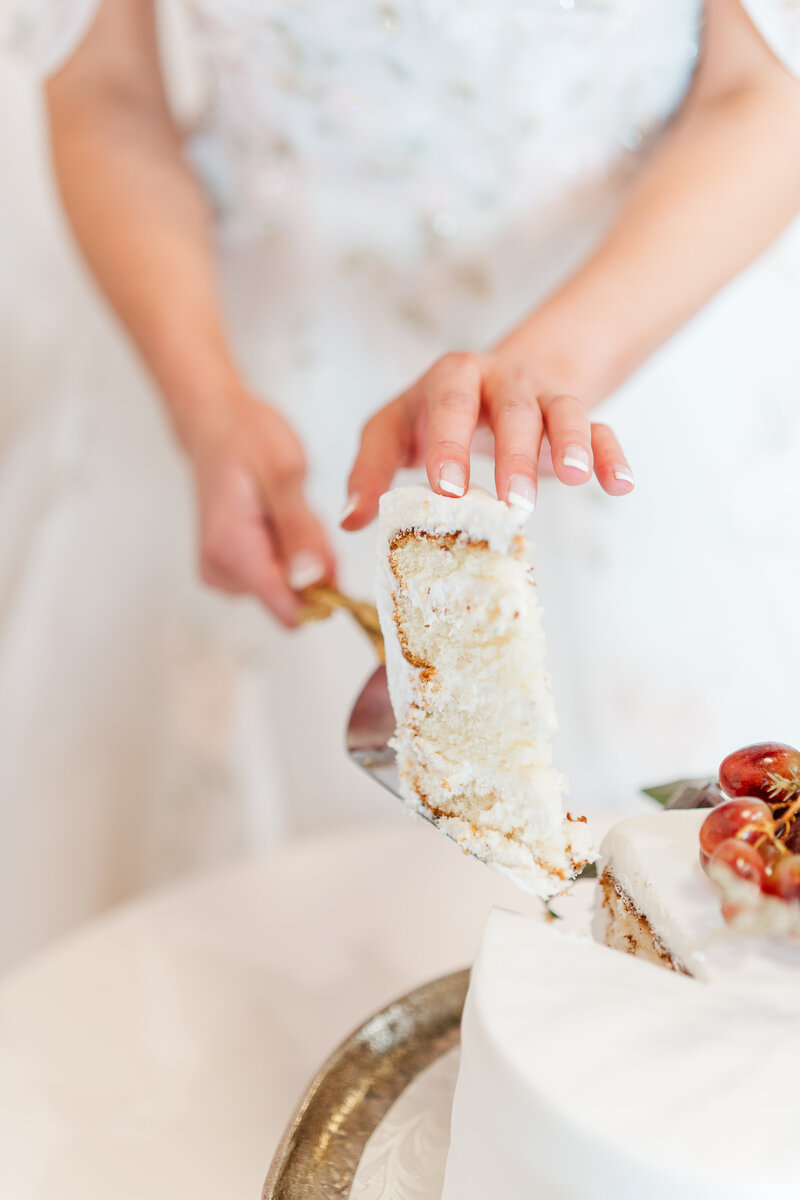 Something New Bridal Shoot Colorado Spring Elena Spraguer Photography 0299