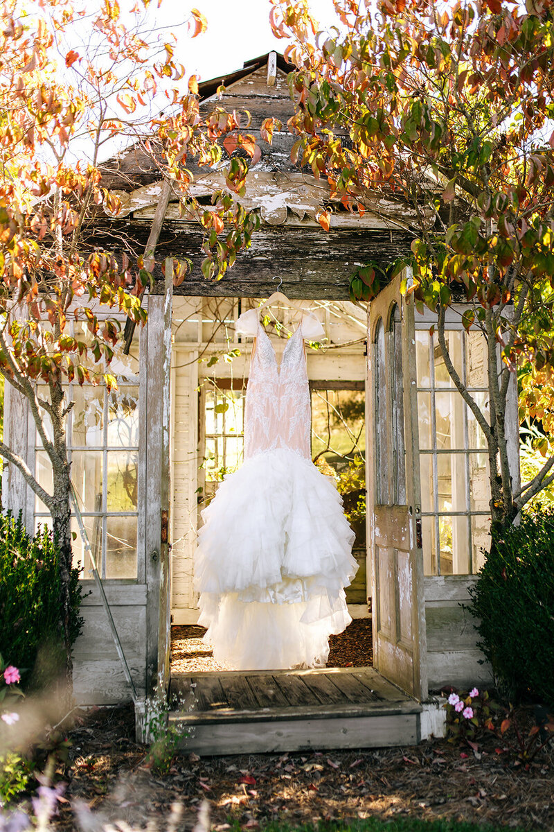 wedding dress hanging in green house