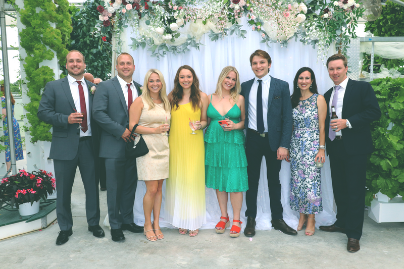 wedding 8 export