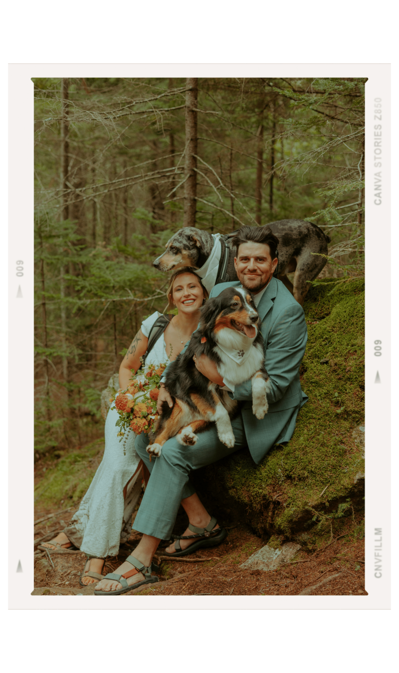 couple wedding forest with dogs