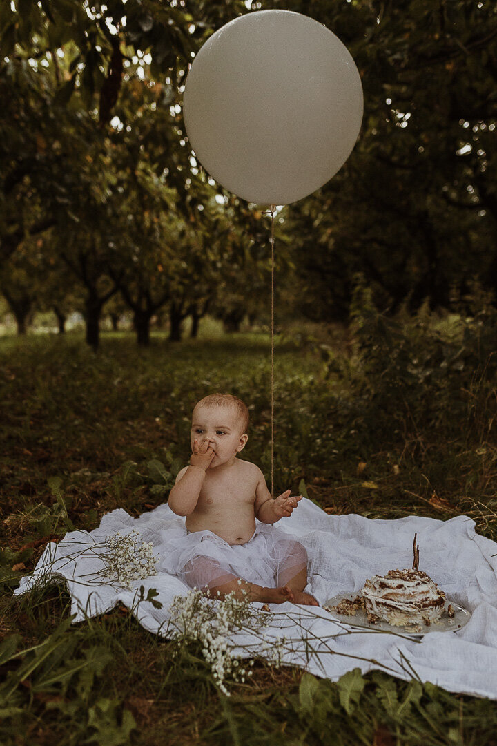 seance photo anniversaire bebe