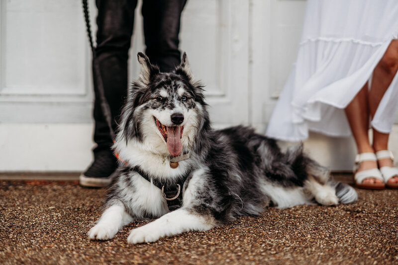 Stella & Steven (Engagement photos)-8_websize