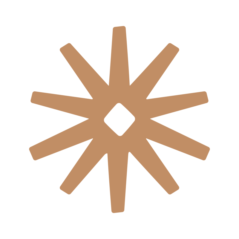 Born to Roam brand element star