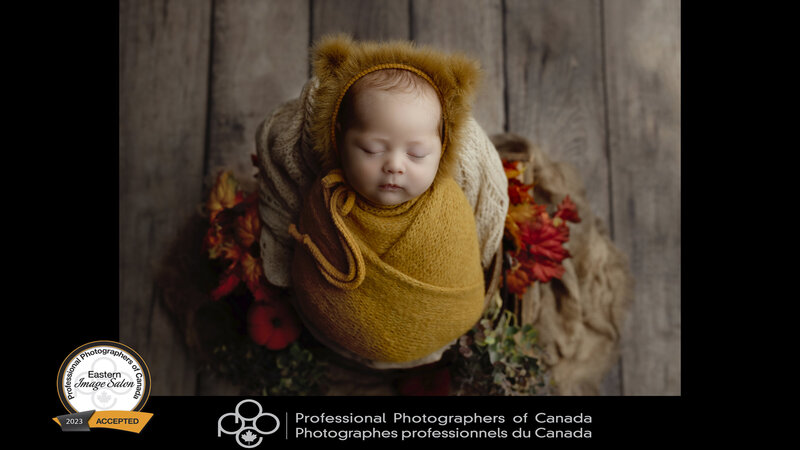 Awarded newborn portrait by Meraki Photographic Creations - PPOC 2023 Image Cpmpetition Accepted Award.