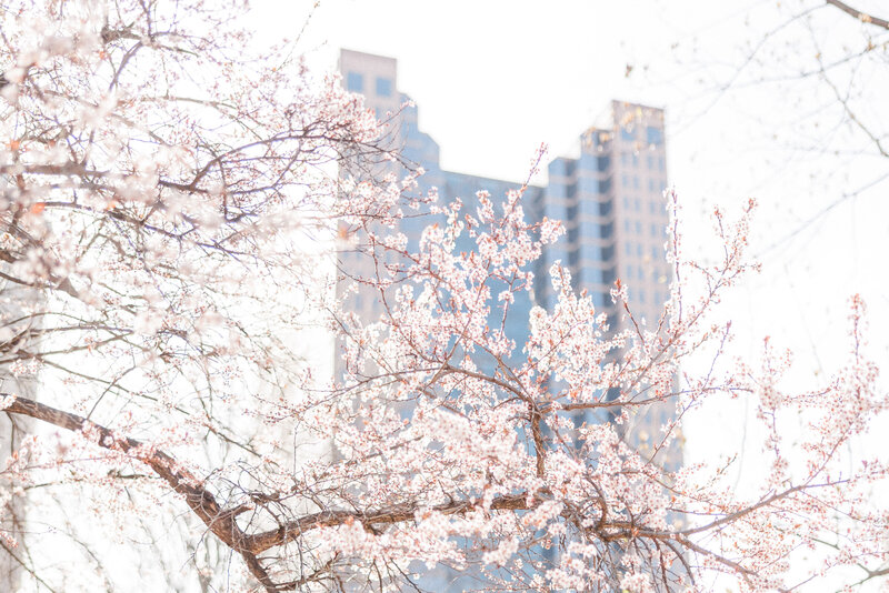 Ohio-statehouse-engagement6