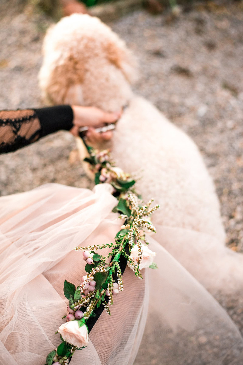 flower-dog-leash-wedding