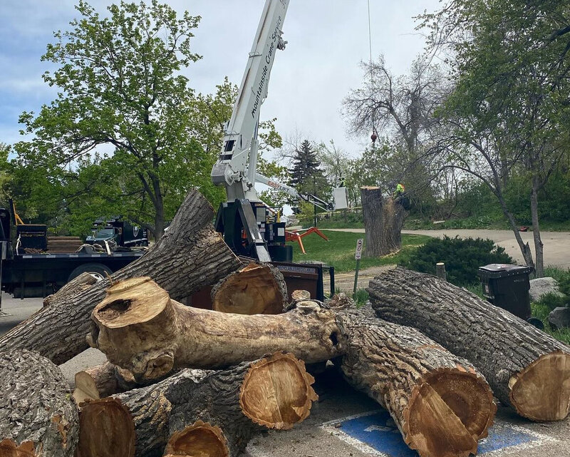 Large tree removal by Mountainside Crane Service