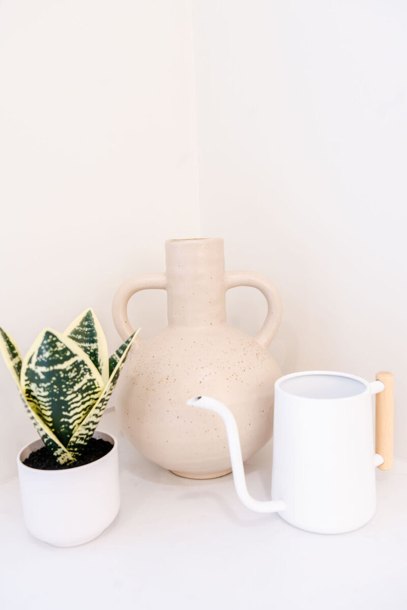 MegSpellman_Brookline-138