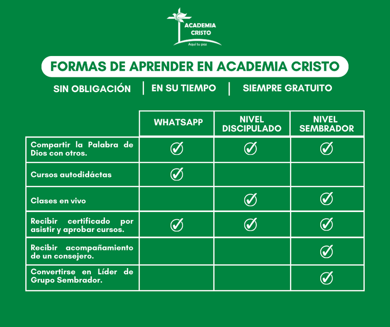 FORMAS DE APRENDER EN ACADEMIA CRISTO
