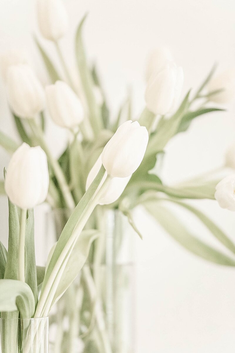 The-Gadsden-House-Charleston-SC-south-carolina-wedding-23