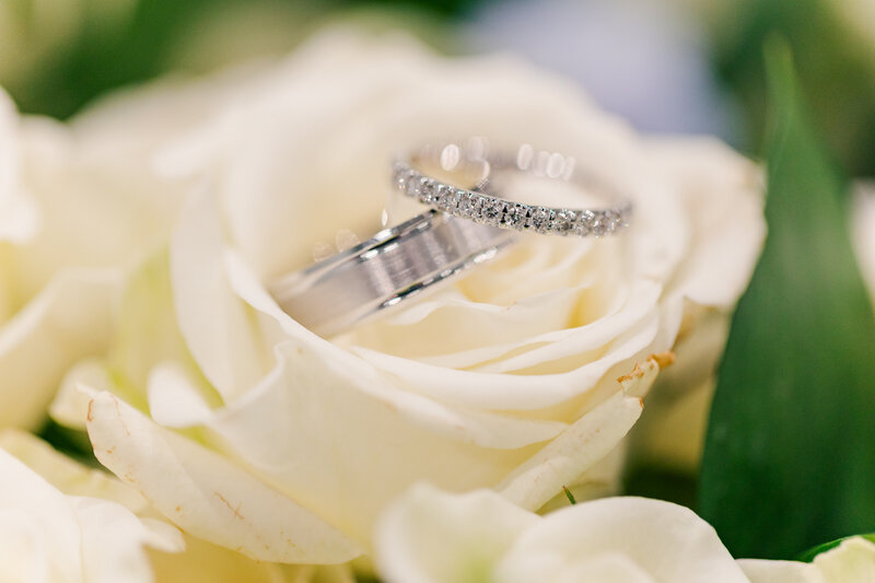 Wedding bands sitting on cream rose with green petals