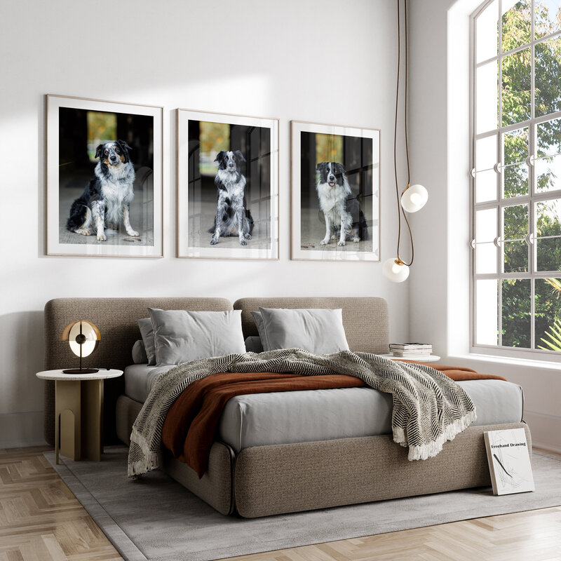 JB Canine Framed