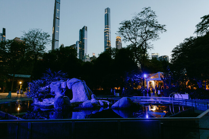 The sea lions pool is lighted blue during a wedding at the Central Park Zoo.