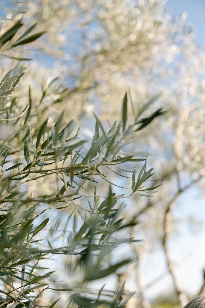 mariage provence photographe victoria le petit-31