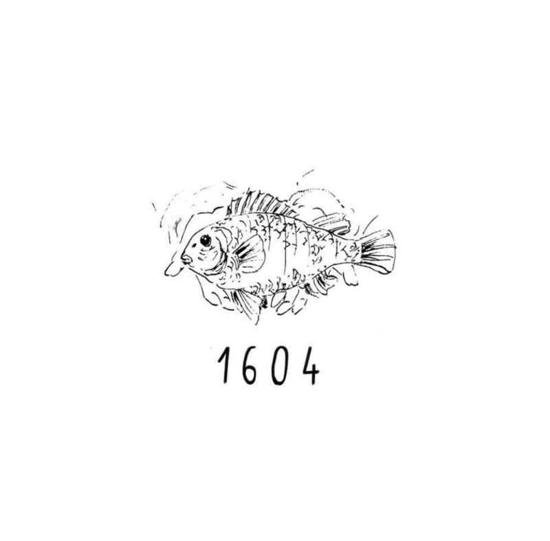 Scherm­afbeelding 2024-01-12 om 15.32.53