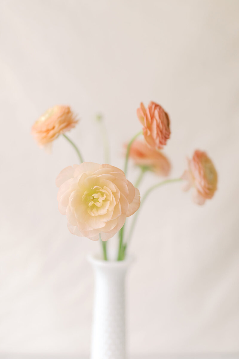 Rose-all-day_Social-Squares_Styled-Stock_01211-scaled