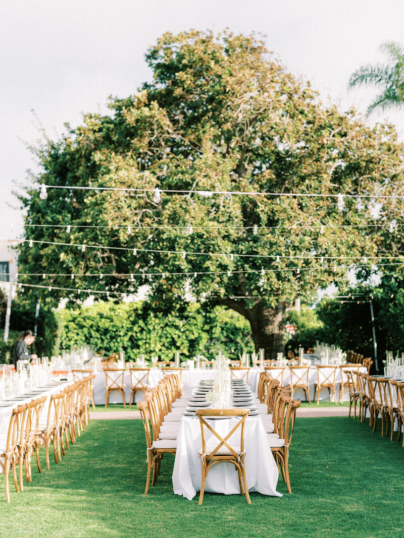 Reception(37)