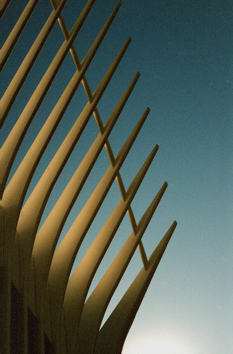065_NYC_analog