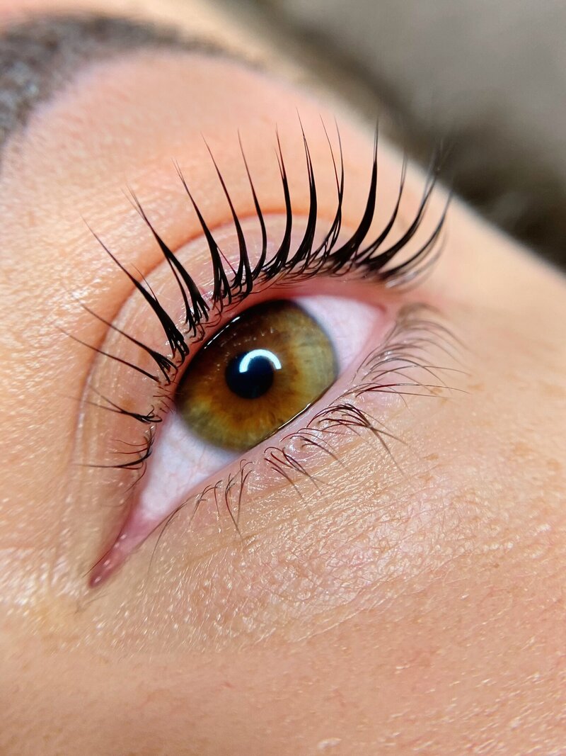 lashlift botox