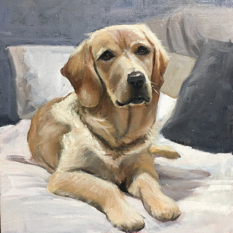 dog portrait of golden retriever  oil painting