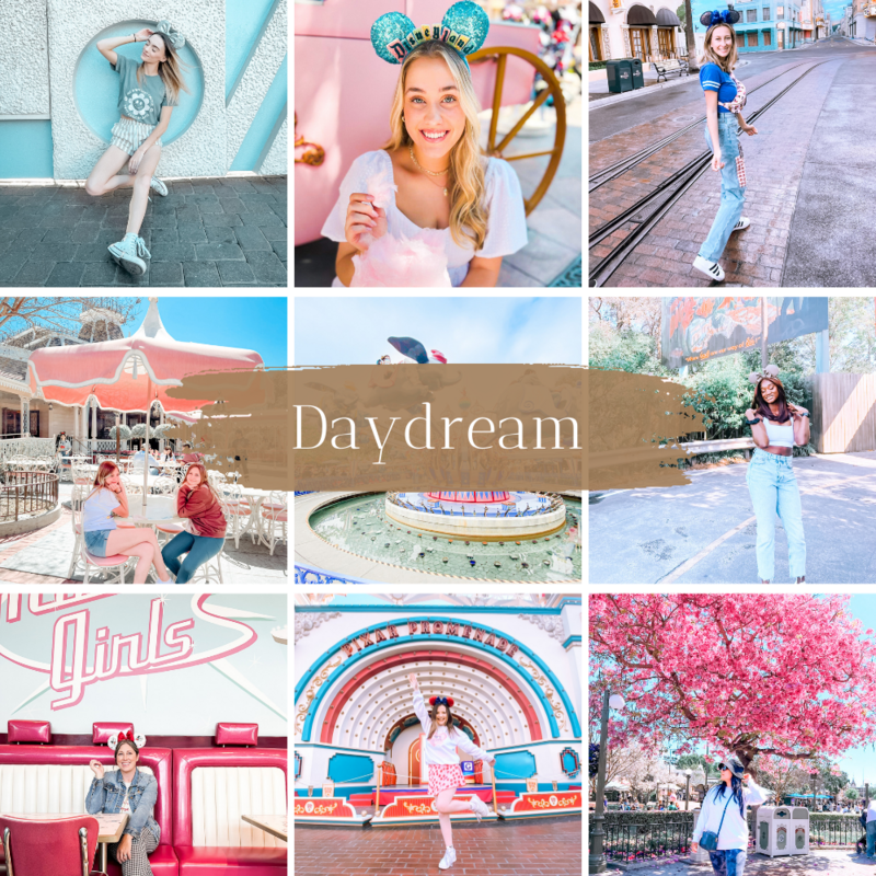 disneyland photo presets for lightroom